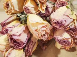 After the Festival: 5 Beautiful Ways to Give Your Diwali Flowers a Second Life